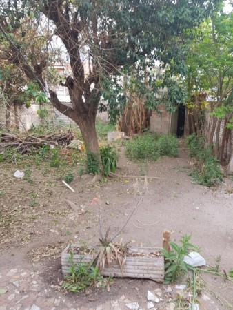  Alejandro Vieyra 2985, Alberdi