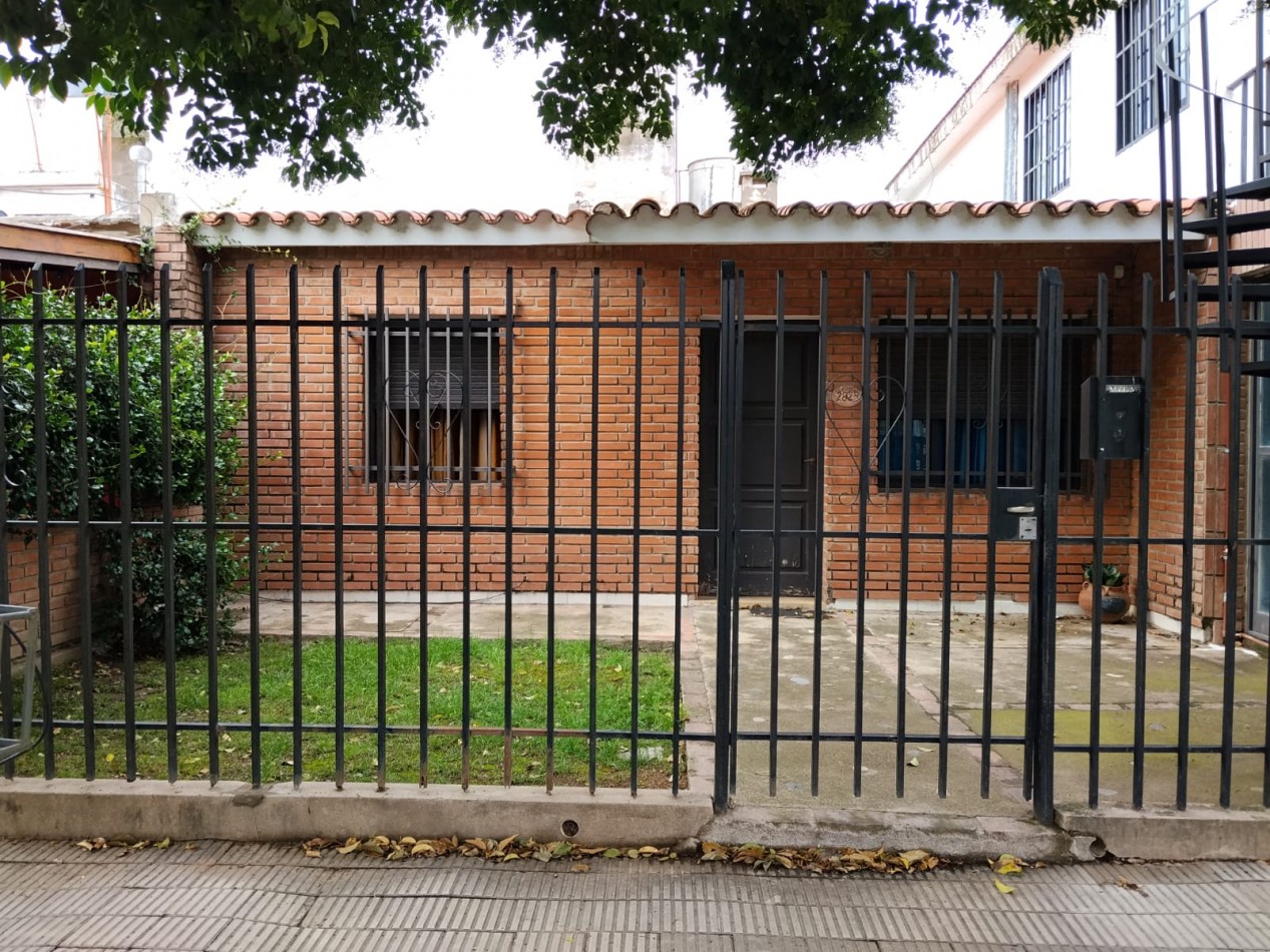 Los naranjos, USO COMERCIAL UNICAMENTE.-