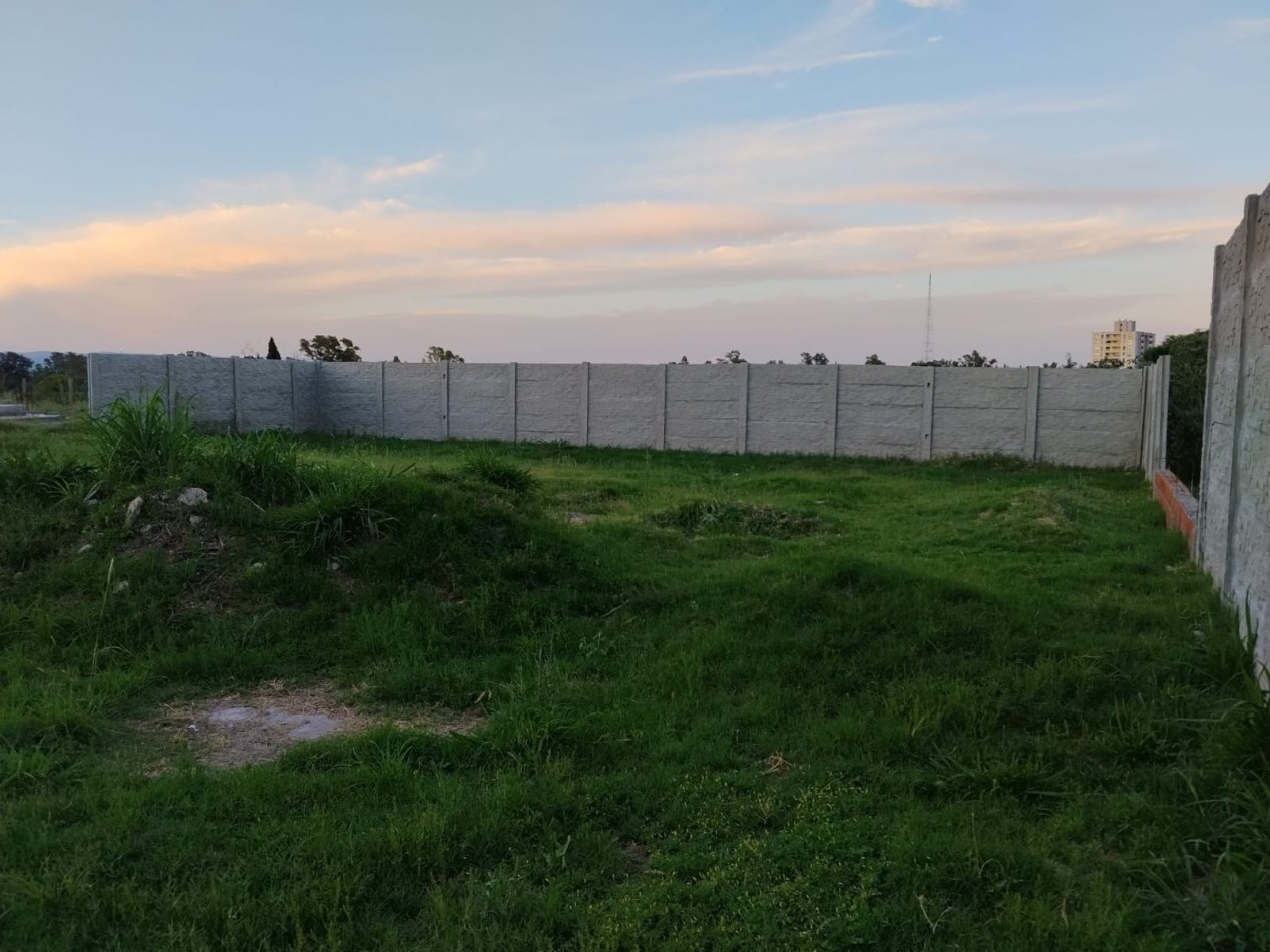 Alto alberdi, espectacular terreno completamente plano y tapiado.-