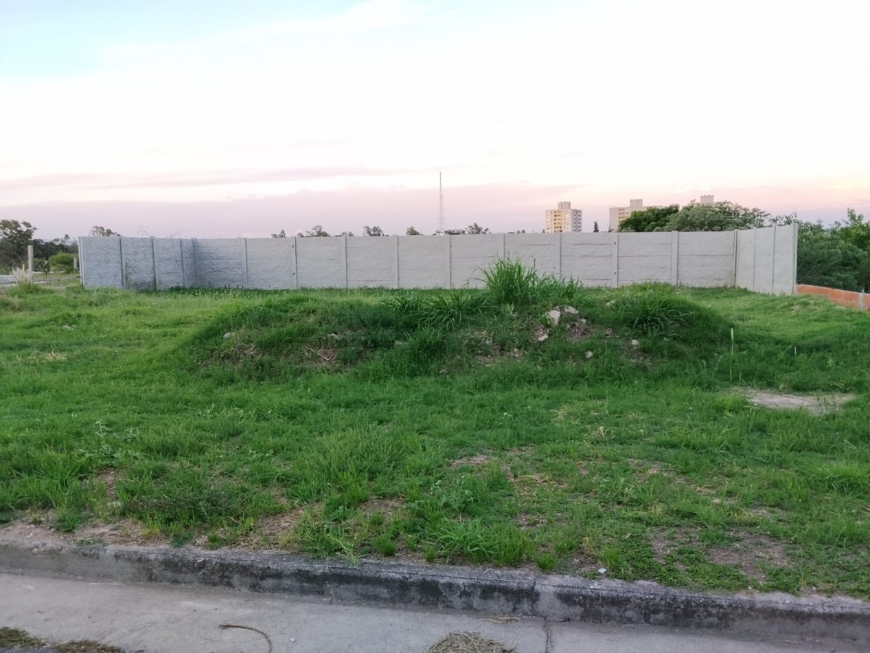 Alto alberdi, espectacular terreno completamente plano y tapiado.-