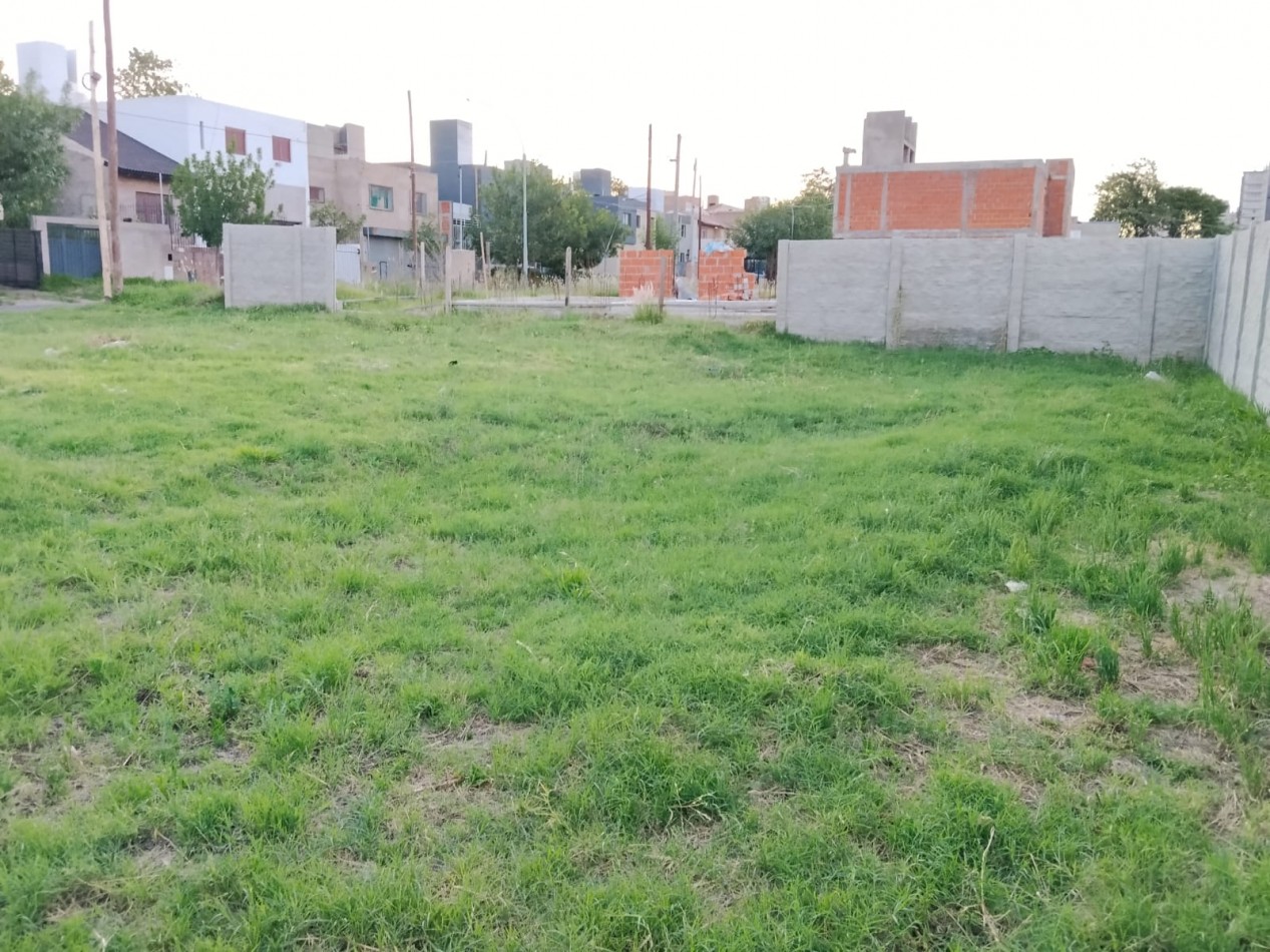 Alto alberdi, espectacular terreno completamente plano y tapiado.-