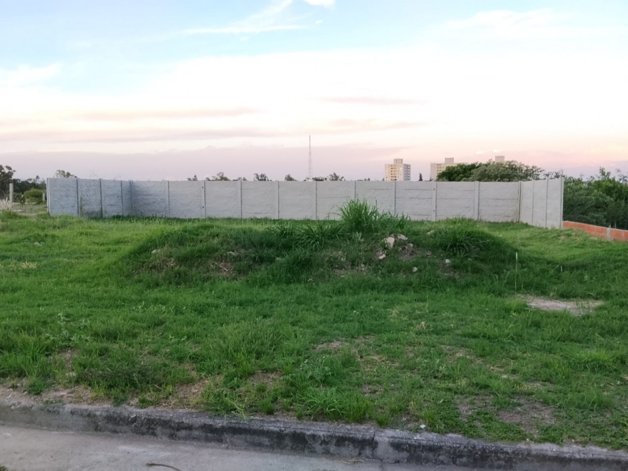 Alto alberdi, espectacular terreno completamente plano y tapiado.-