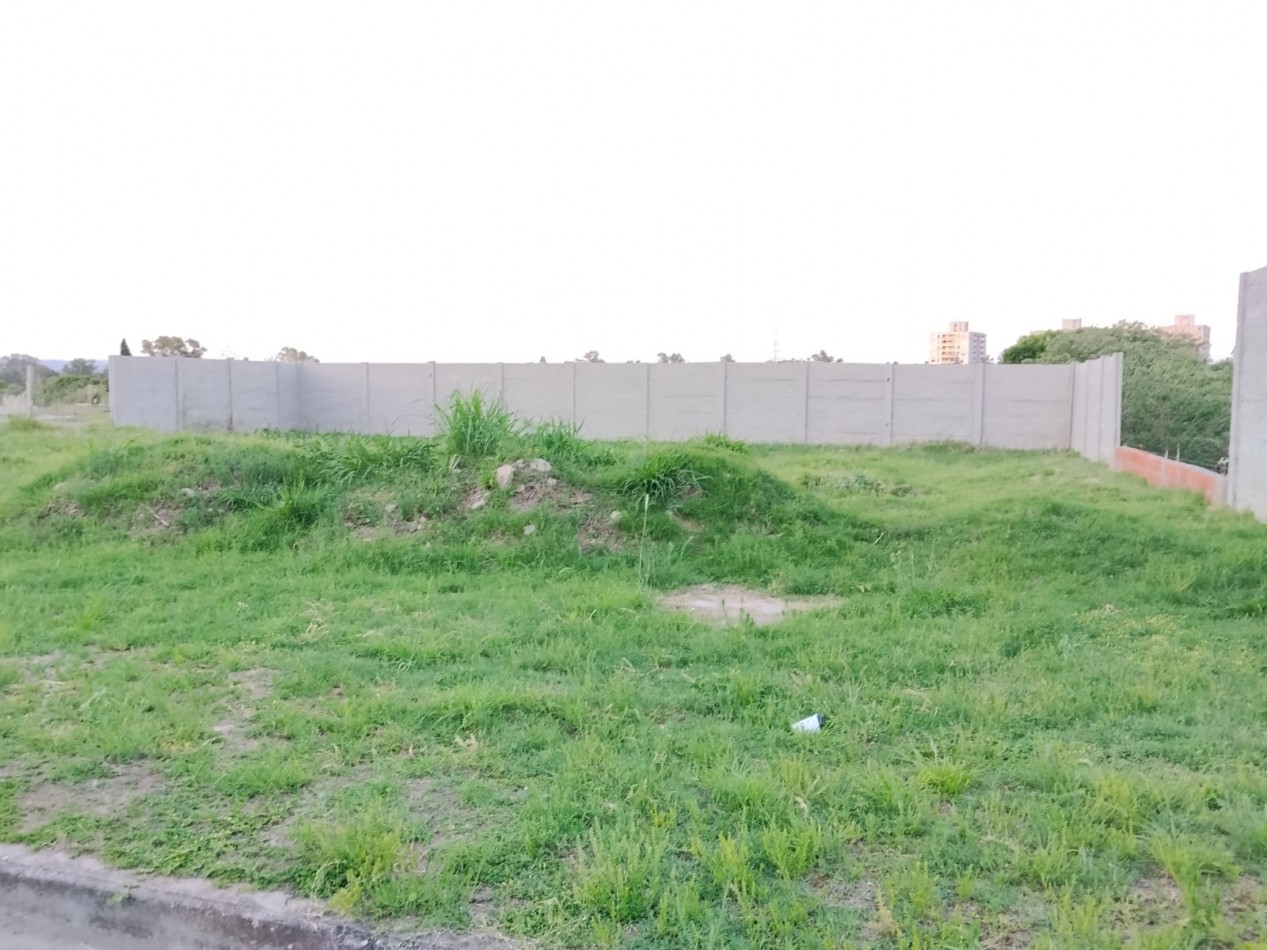 Alto alberdi, espectacular terreno completamente plano y tapiado.-